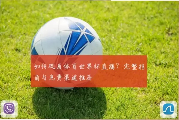 世俱杯直播在线观看免费渠道推荐